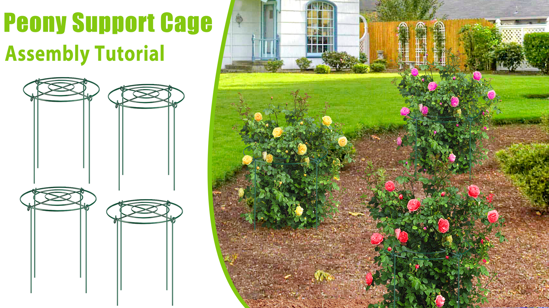 peony様　リピオーダーカゴ Amazon.com : 8 Pack Peony Cages and Supports, 11.5